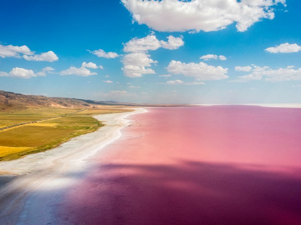 розовое озеро Туз