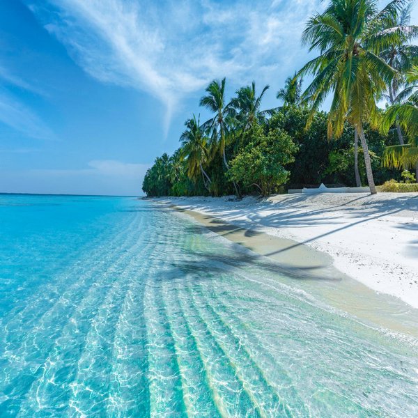 Поехать отдыхать на Мальдивы